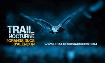 Grand Duc en vol